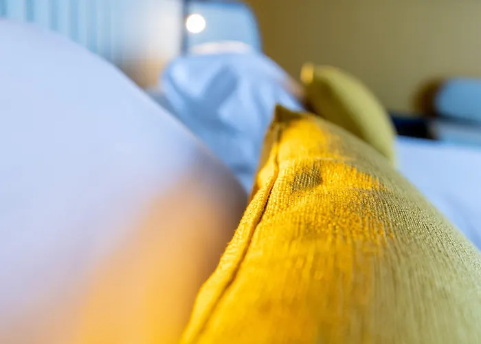 Hotel Western Premier De La Paix 4*