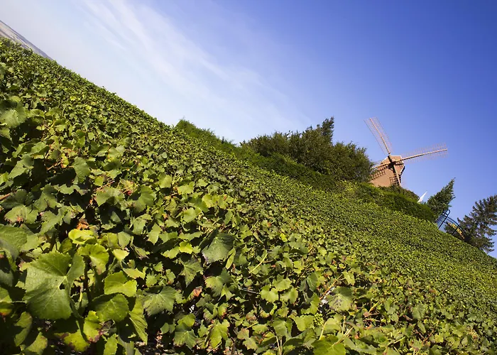 Hotel Western Premier De La Paix 4*